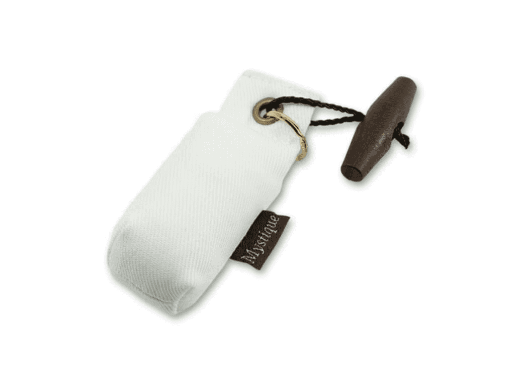 Mystique Mini Dummy Key case